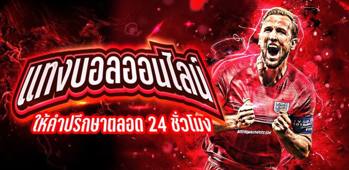 แทงบอล คือ